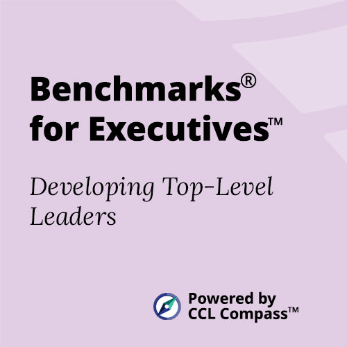 Benchmarks for Executives