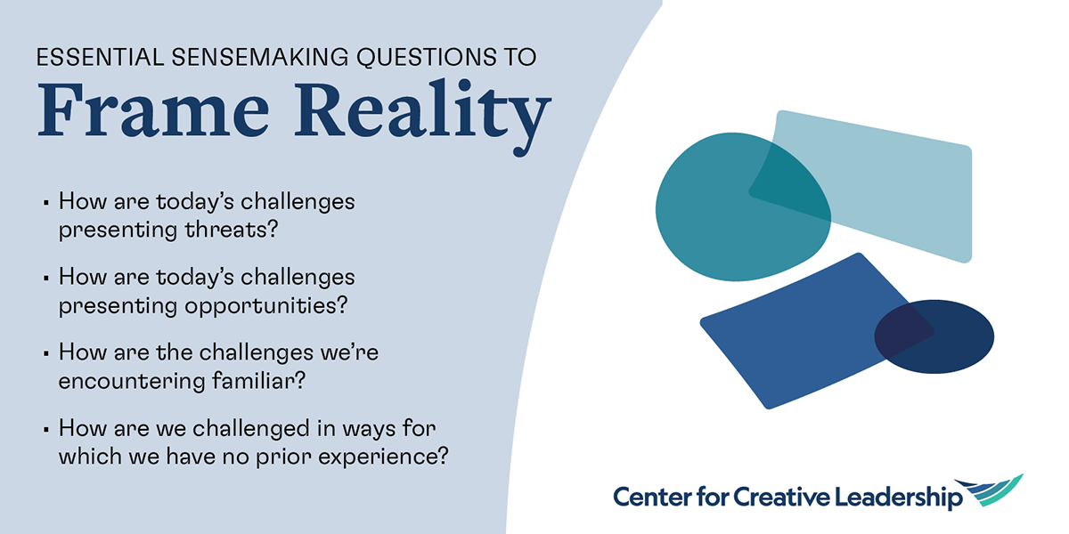 Essential Sensemaking Questions to Frame Reality infographic